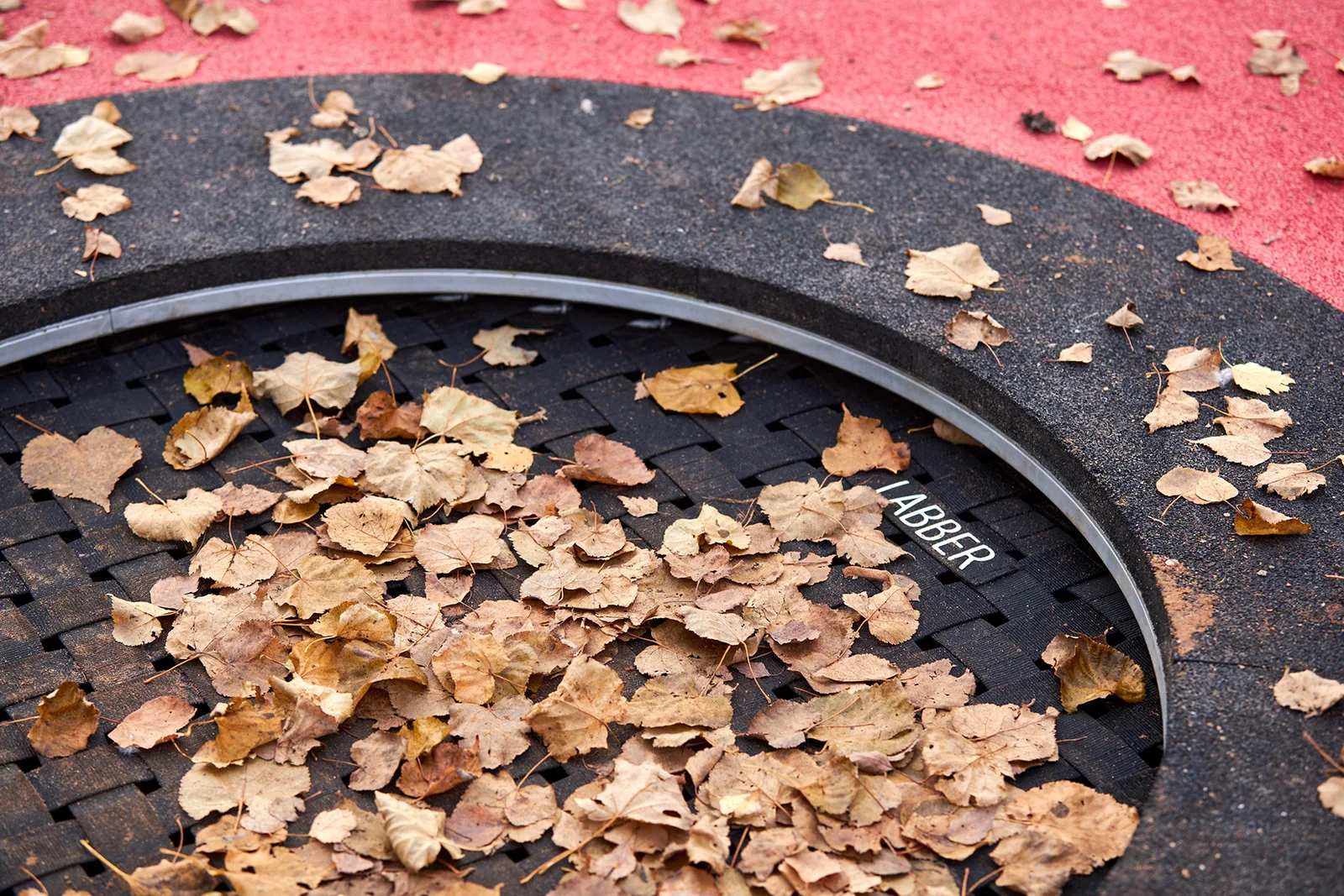 Budogoshch Public Space image 5