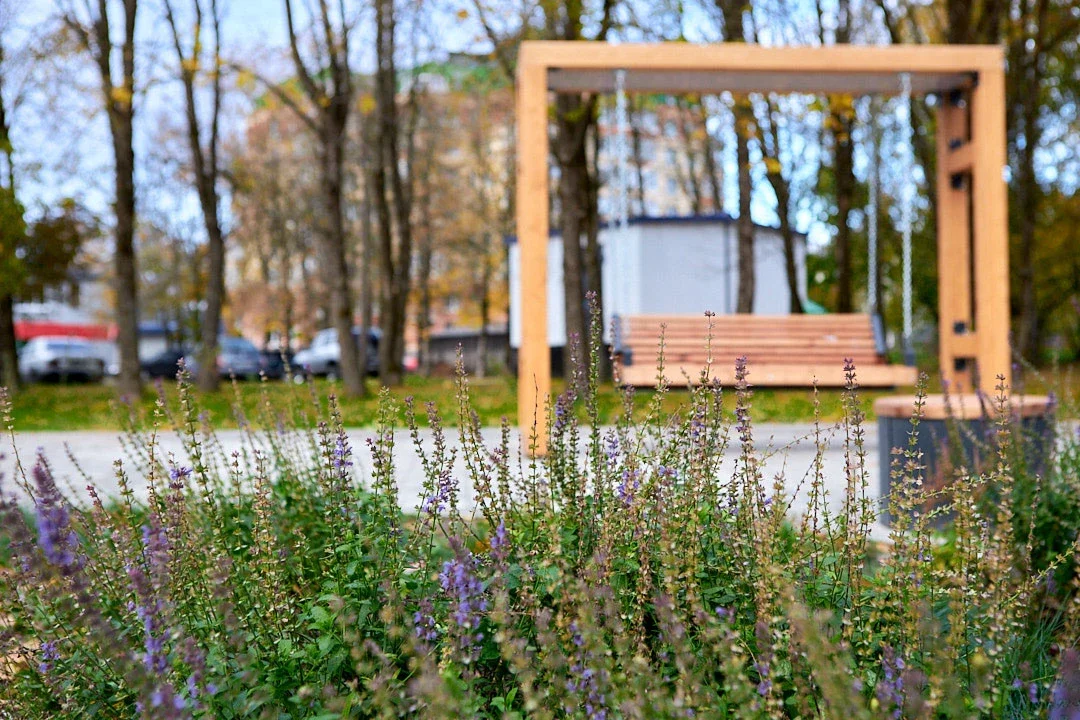 Public Space Improvement image 7