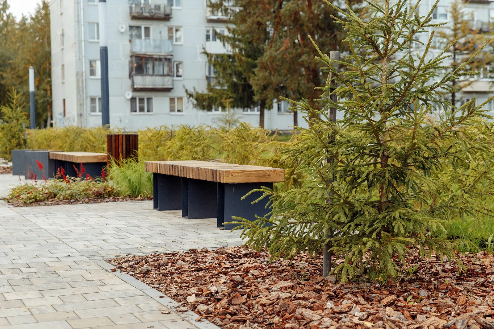 Lyuban Public Space image 1