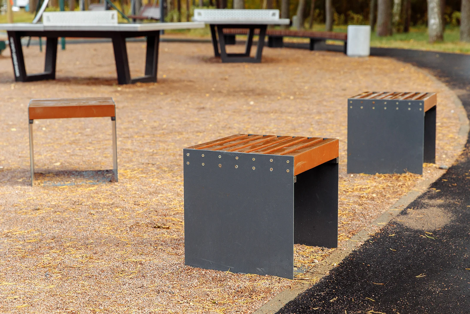 Budogoshch Park Improvement image 5