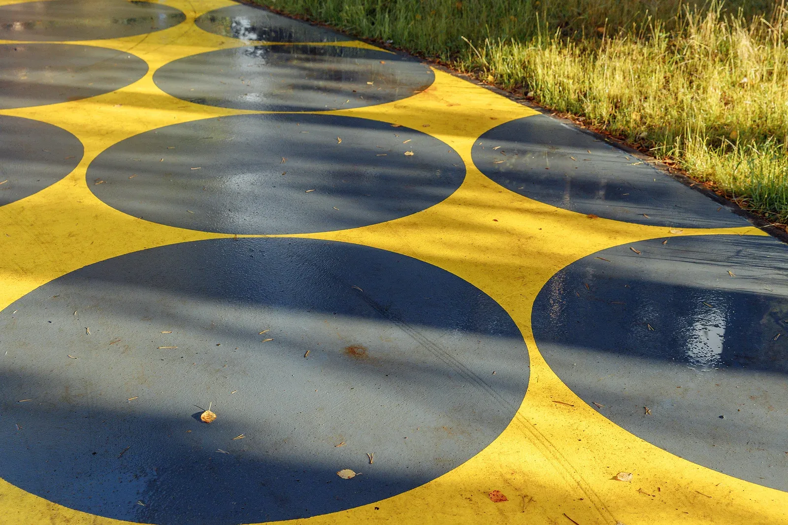 Budogoshch Park Improvement image 9