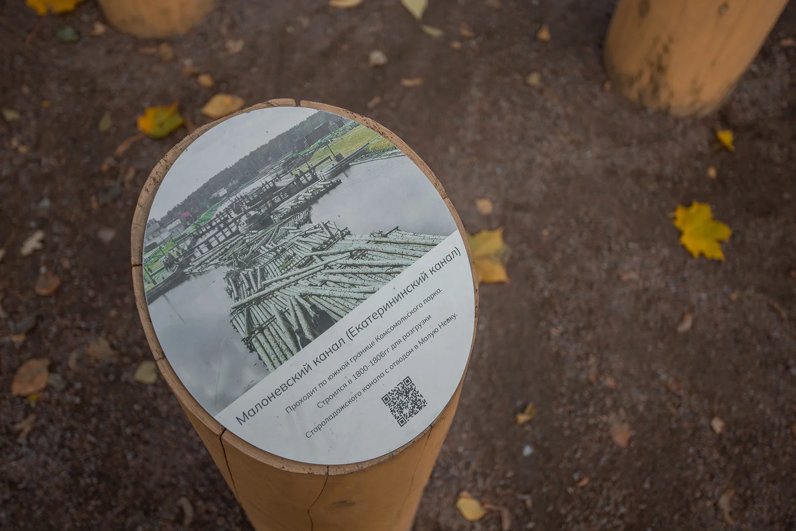 Shlisselburg Park Improvement image 1