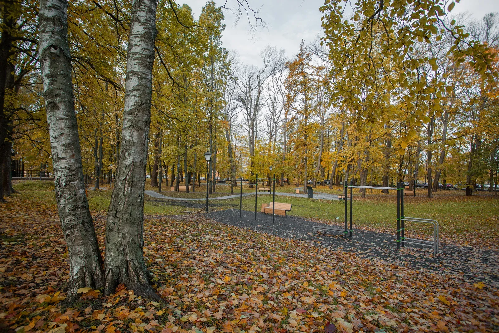 Shlisselburg Park Improvement image 2