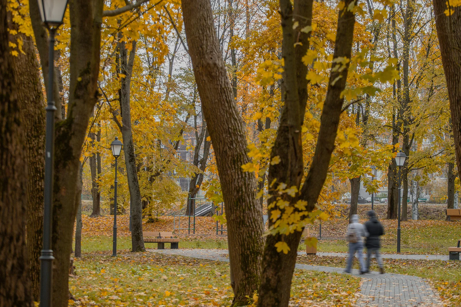 Shlisselburg Park Improvement image 6