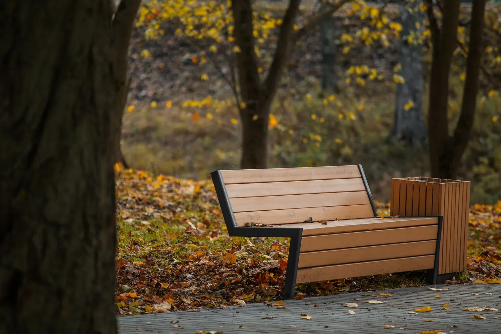 Shlisselburg Park Improvement image 7