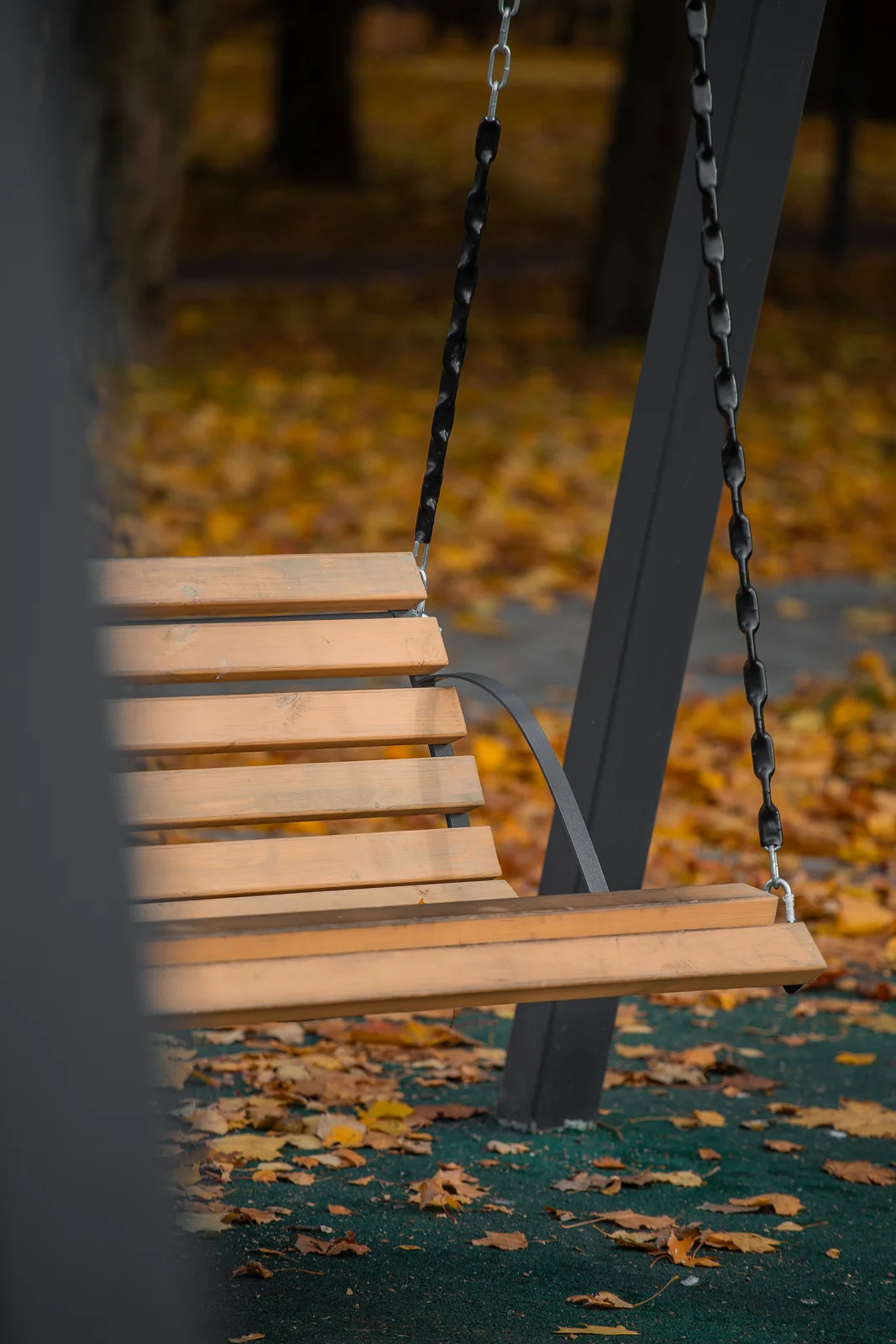 Shlisselburg Park Improvement image 8