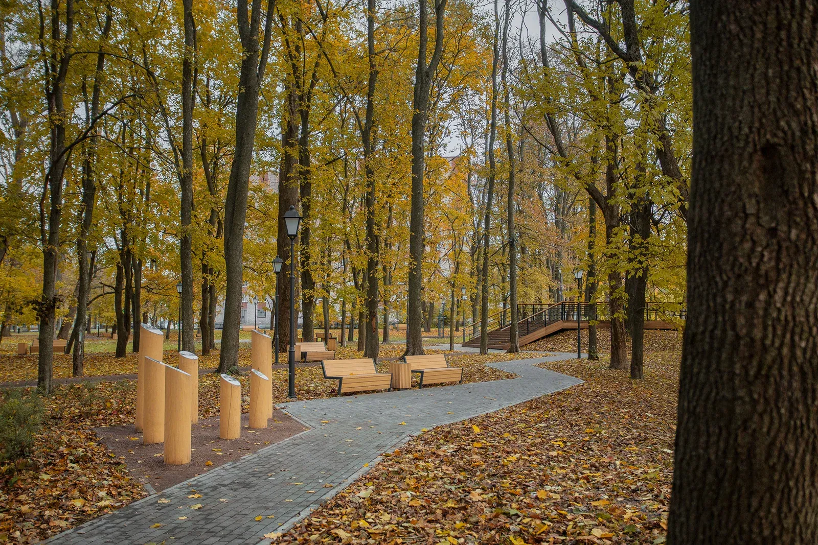 Shlisselburg Park Improvement image 10